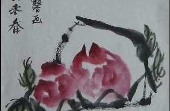 习作6