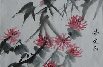 习作7