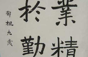 习作11