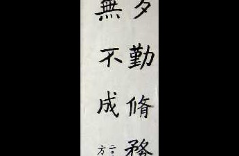 习作13